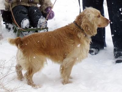 Прикрепленное изображение: IMG_0050.jpg